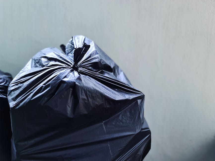 Coldharbour Lane guide to rubbish collection in Brixton