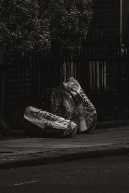 Cost of rubbish clearance in SW9 what to know before you book